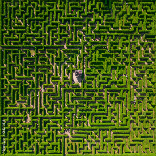 Obraz na płótnie Aerial view of people trying to find exit in a labyrinth garden at sunny day w salonie