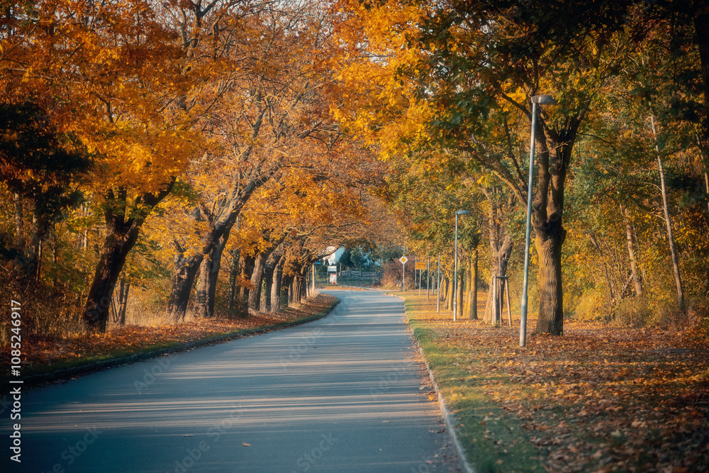 Obraz premium Ostseebad Kühlungsborn 2024