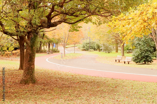 埼玉県熊谷市スポーツ文化公園の秋の風景