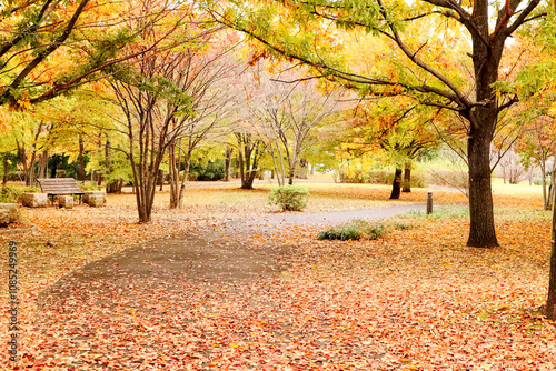 埼玉県熊谷市スポーツ文化公園の秋の風景