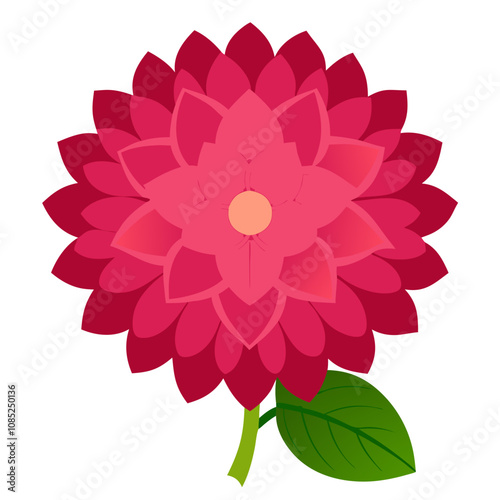 Red dahlia flower vector illustration 
