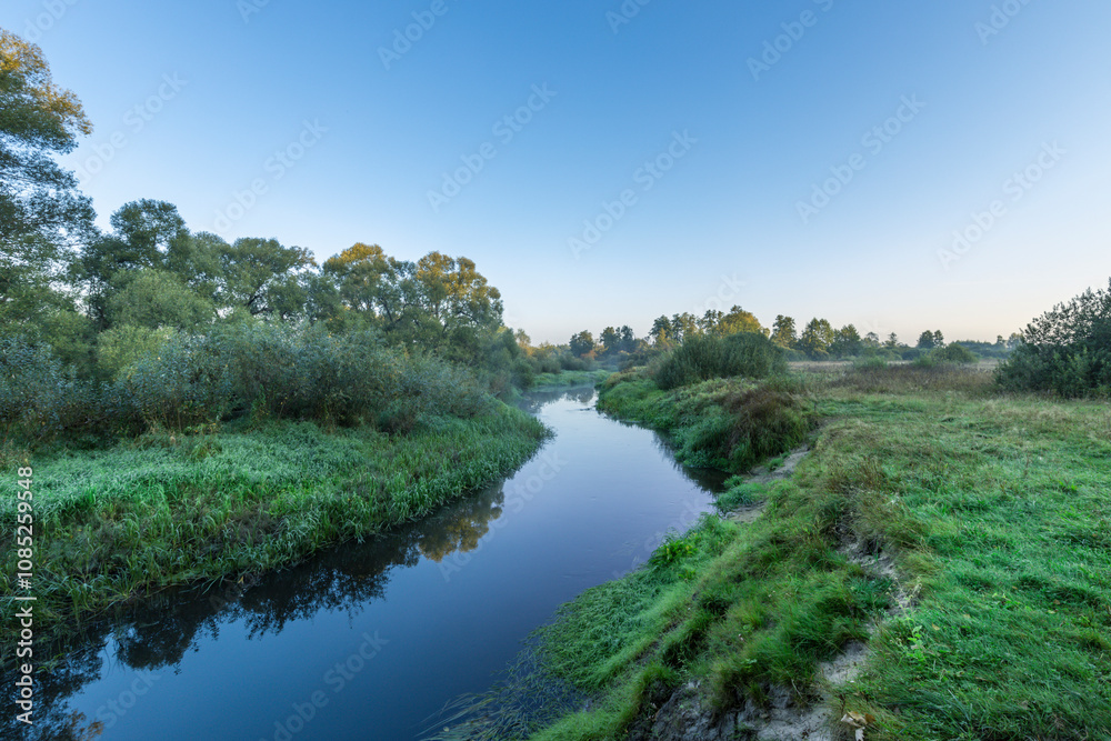 A river with trees on both sides A river with trees on both sides