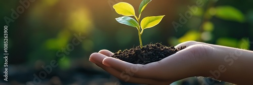 Planting the Seeds of Success: Talents Flourishing in Life