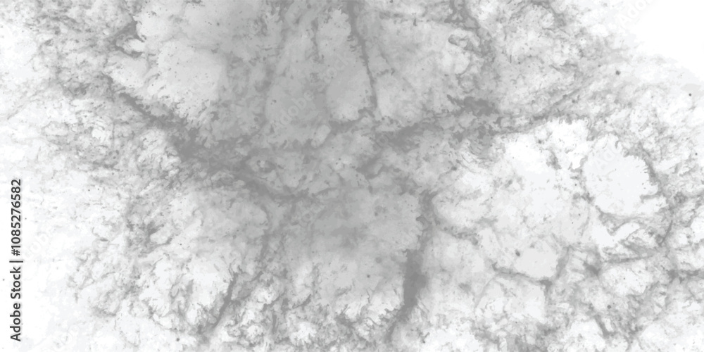 Fototapeta premium Delicate monochrome abstract art featuring intricate veining and a soft smoky effect, perfect for neutral-toned designs. 