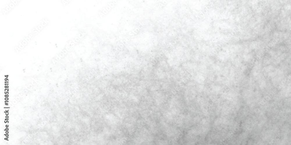 Fototapeta premium Atmospheric abstract gray texture blending natural cracked stone effects with gentle mist-like transitions. 