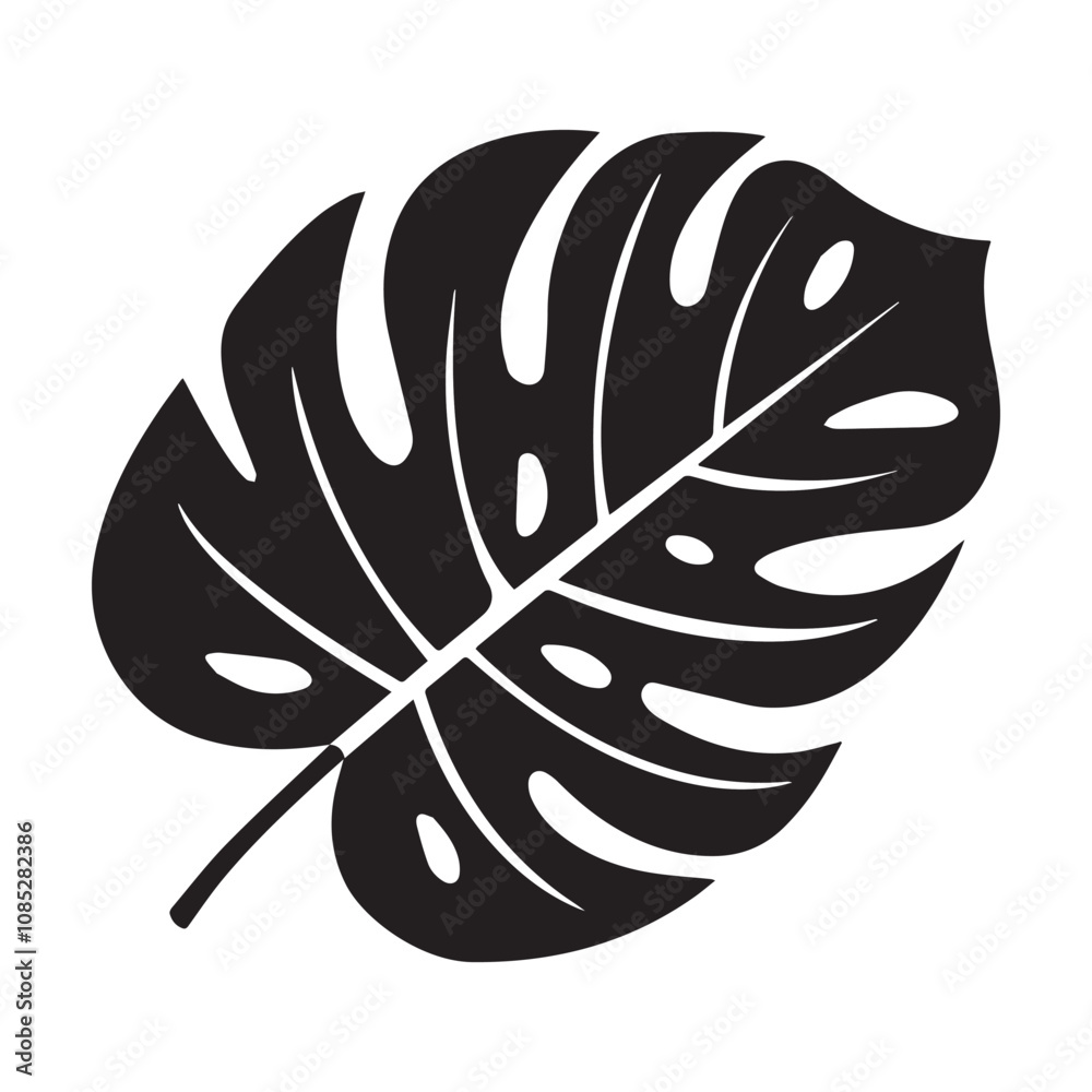 silhouette of a leaf, Silhouette of monstera leaves silhouette of a leaf, Silhouette of monstera leaves