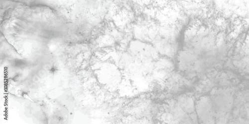 Delicate monochrome abstract art featuring intricate veining and a soft smoky effect, perfect for neutral-toned designs.
