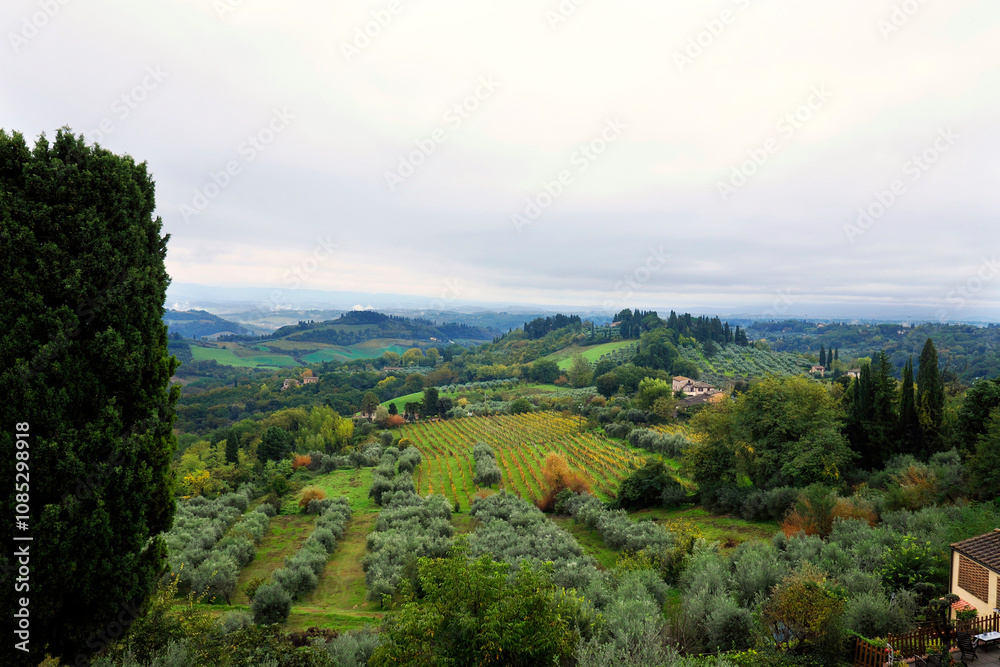 Charakterystyczne malownicze krajobrazy Toskanii z okolic San Gimignano