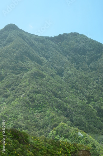 Tropical Mountains in Anaga Rural Park, Tenerife, Canary Islands