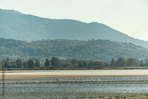 Ein kleiner Strandspaziergang rund um den wunderschönen Salzsee bei Marmari in der Süd Ägäis mit Blick auf ein paar Flamingos - Griechenland  photo