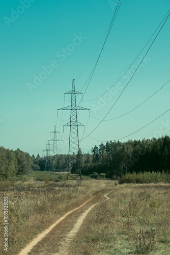 
Wires in the forest