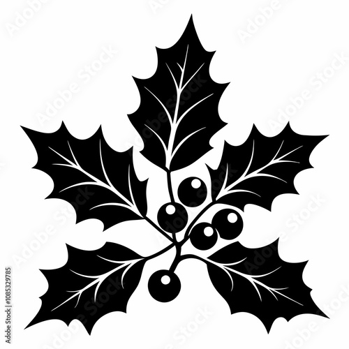 Christmas Holly sprig vector silhouette black on white background