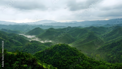 Lush Tropical Rainforests in Xishuangbanna 