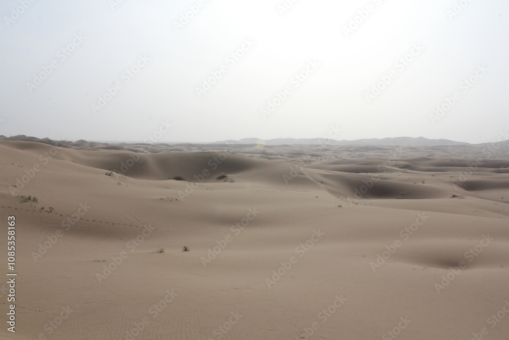 A distant view of the desert under a soft, misty sky, creating a tranquil and mysterious atmosphere. A distant view of the desert under a soft, misty sky, creating a tranquil and mysterious atmosphere.