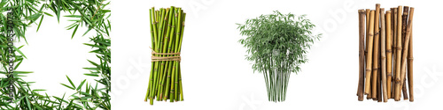 Elegant Bamboo Stems on White Background Minimalist Nature Decor Concept