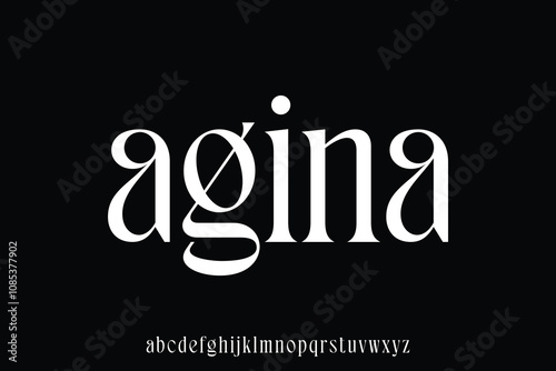 Elegant beautiful serif alphabet display font vector illustration for your brand