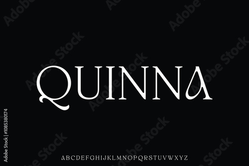 Elegant minimalist vintage style serif alphabet display font vector