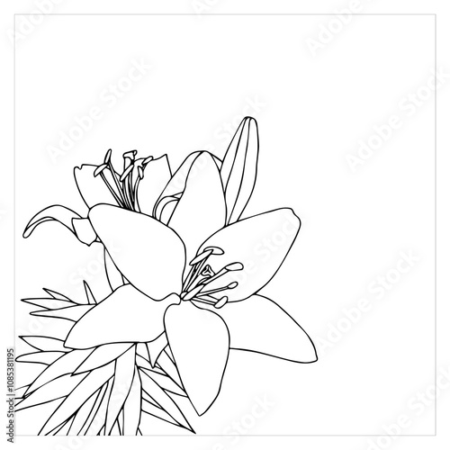 Frame with lilies in doodle style. Element for your design. Vector illustration isolated on white background.