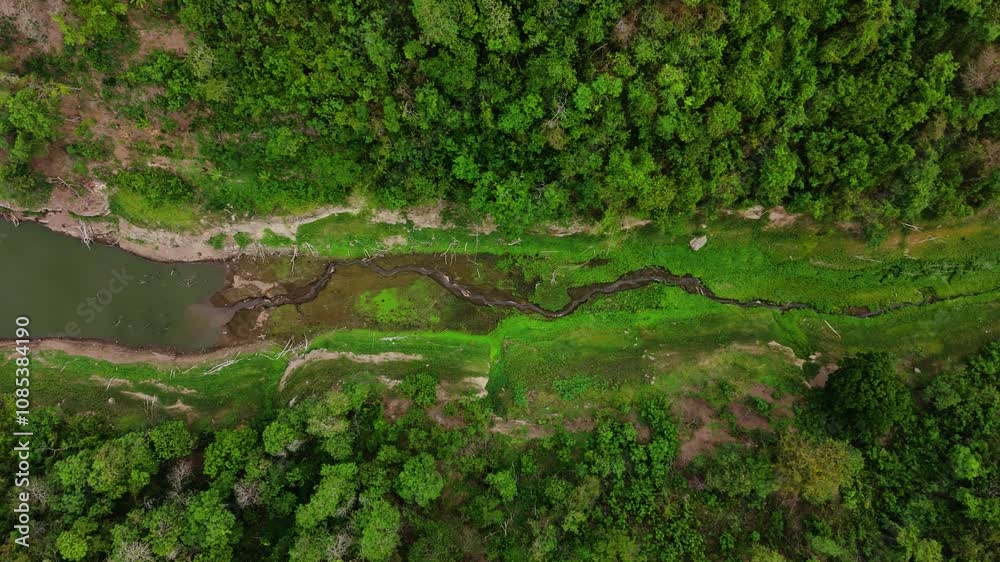 Aerial view from top of forest with small river Aerial view from top of forest with small river