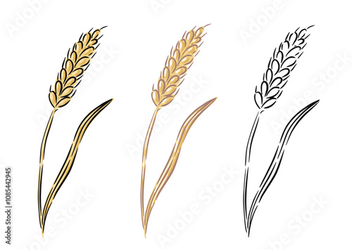 Set wheat stalk in black and gold colors, simple hand drawn vector illustration