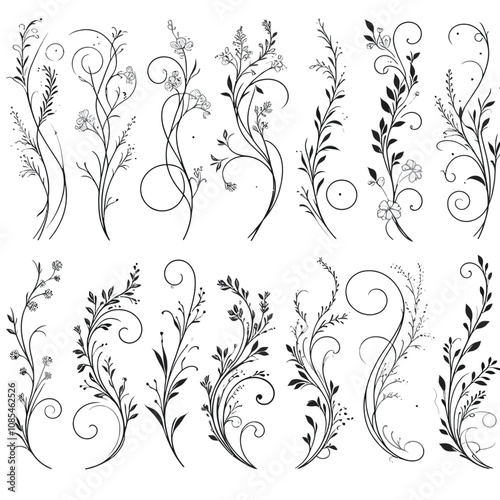 Elegant Swirling Vine Dividers