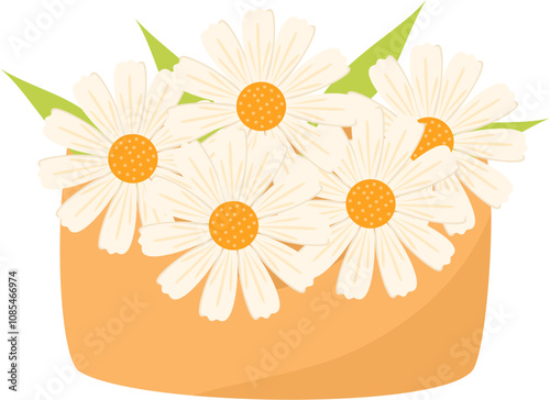 Handdrawn daisy flower illustration