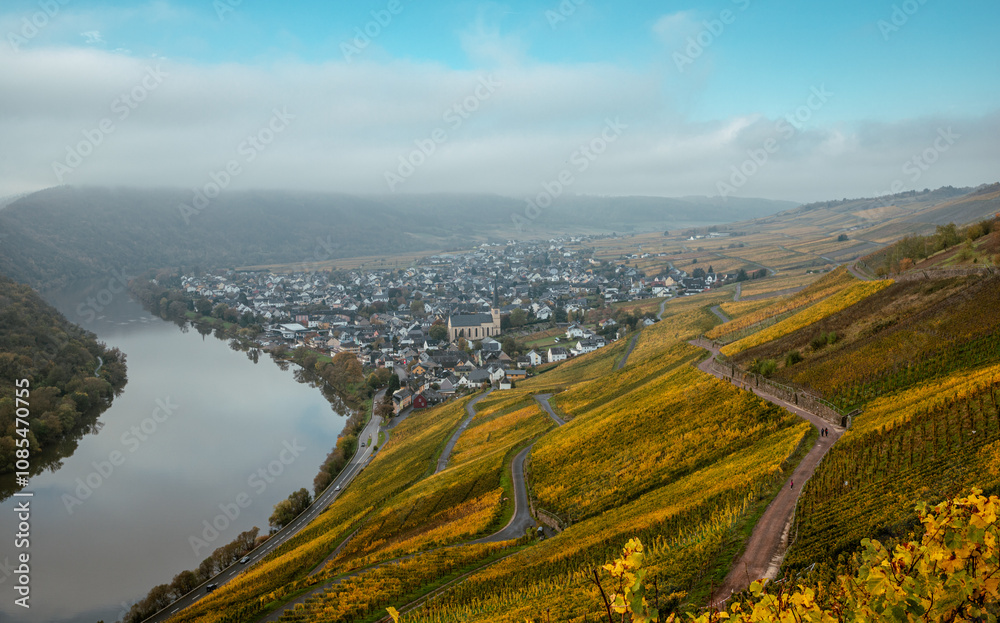 Fototapeta premium view of the Kroever vineyards in autumn season Germany Moselle River Valley