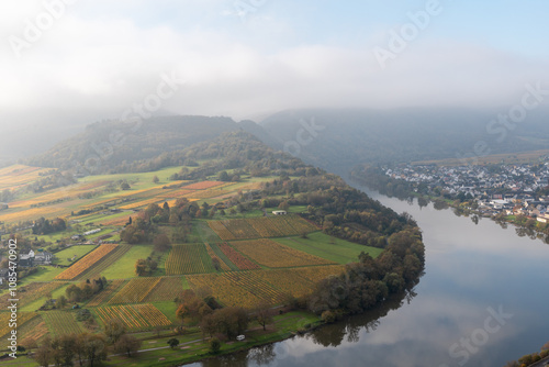 view of the Kroever vineyards in autumn season Germany Moselle River Valley