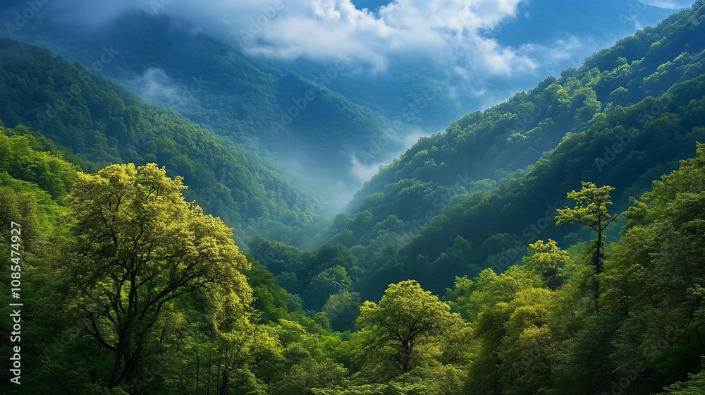Obraz premium A breathtaking view of the lush green mountains and dense forests, with mist rising from their valleys