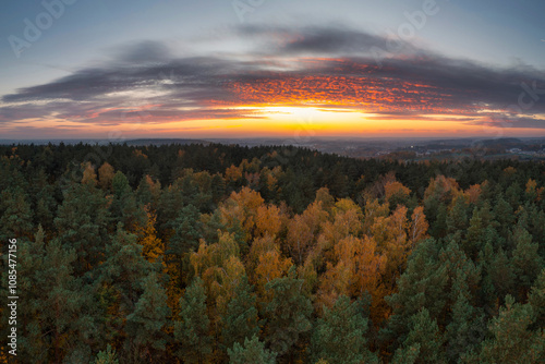 Beautiful sunset over the autumnal forest in Rotmanka, Poland photo