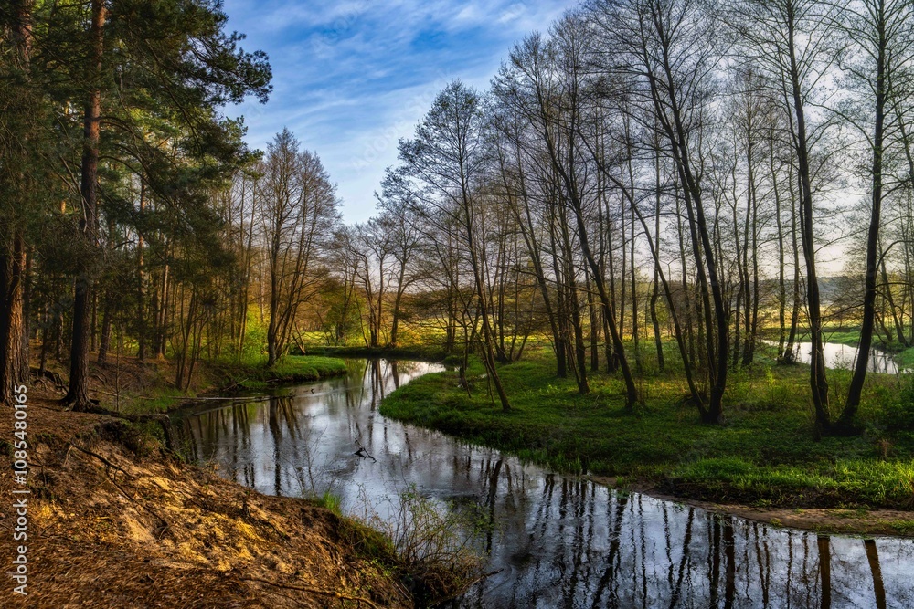 The spring river Grabia in my area The spring river Grabia in my area