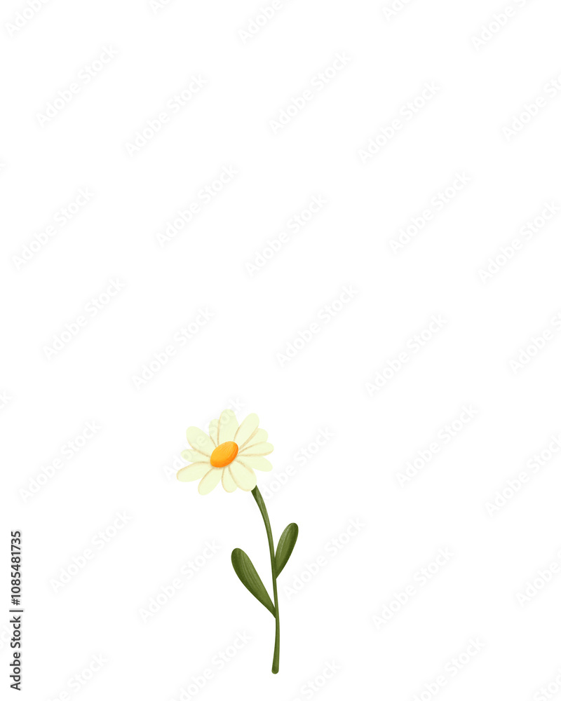 custom made wallpaper toronto digitaldaisy flower