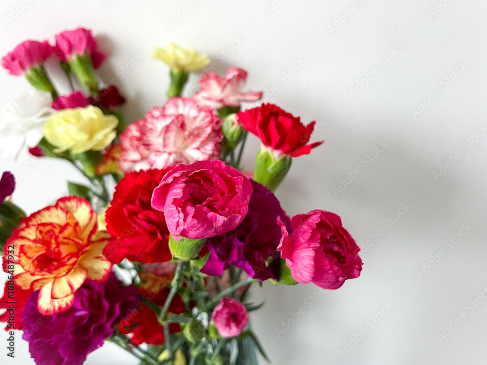 Beautiful carnation flowers bouquet with pink, red, white and yellow carnations isolated on white close up, floral wallpaper background with
multicoloured carnations Beautiful carnation flowers bouquet with pink, red, white and yellow carnations isolated on white close up, floral wallpaper background with
multicoloured carnations