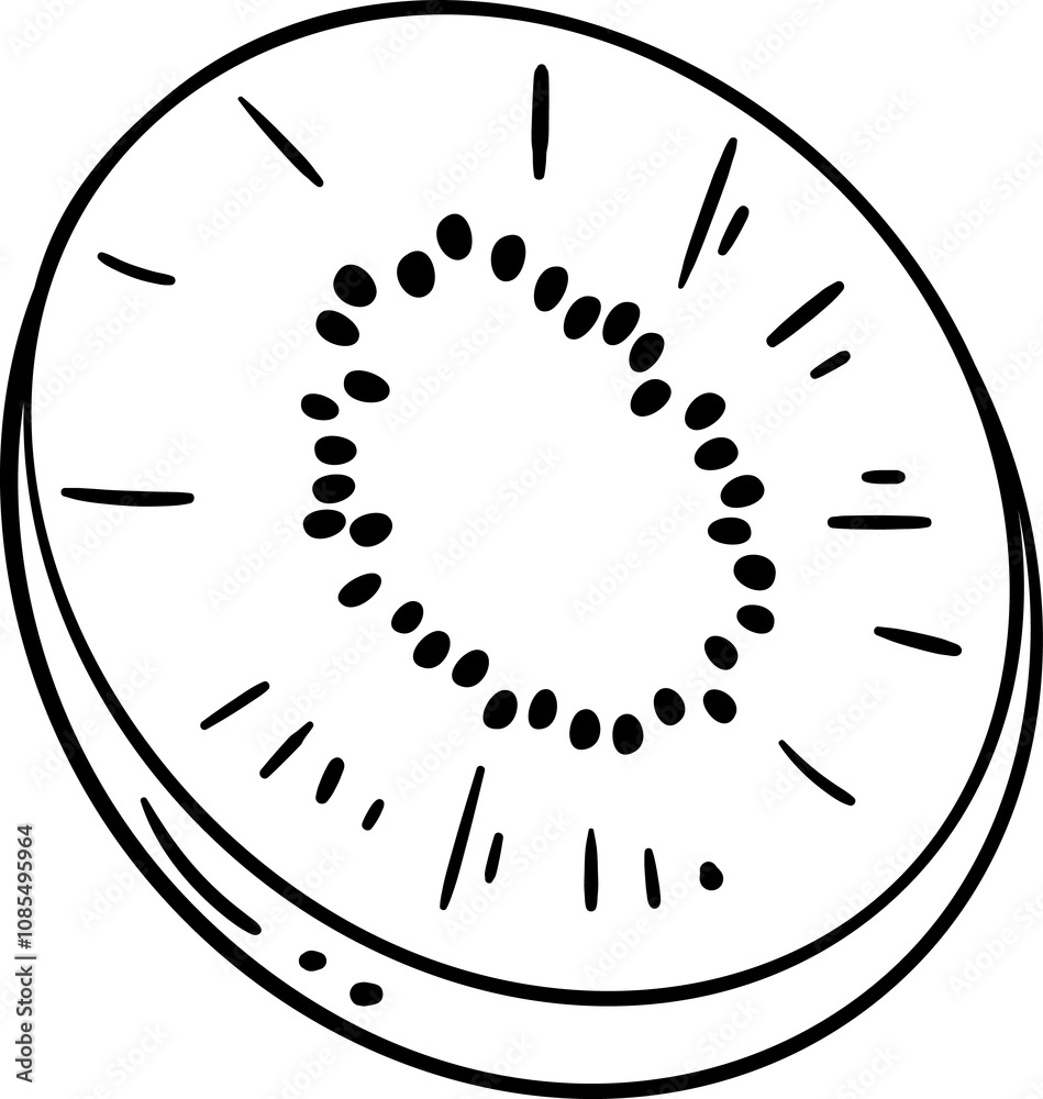 Kiwi Fruit Outline Illustration. Organic natural nutritional healthy food ingredient, vegetarian diet product.