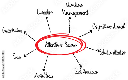 Attention Span is the amount of time spent concentrating on a task before becoming distracted, mind map text concept background photo