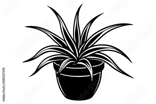 Bromeliad vector illustration linocut
 photo