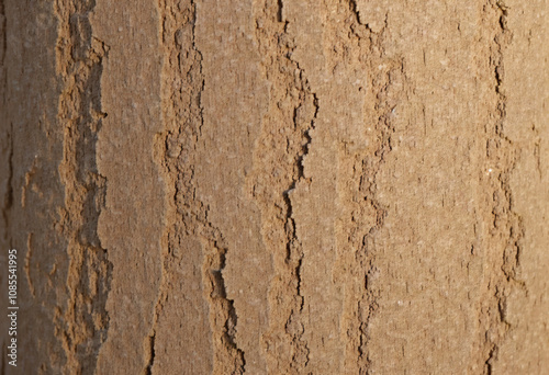 texture of light brown wood