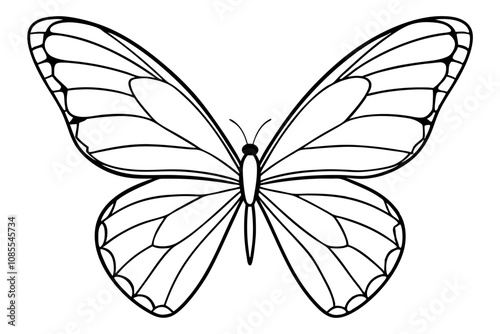 Monarch Wings line art white background