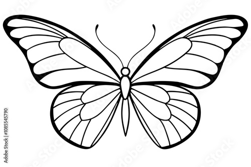 Monarch Wings line art white background