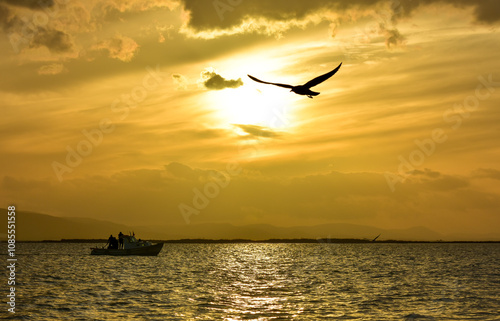 Sunset on a sea. A seagull flying on the sea, silhouette	