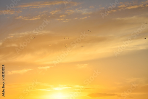 Seagulls flying under beautiful sunset clouds	
