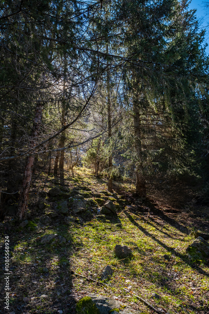 Fototapeta premium A mystical landscape in the mountains