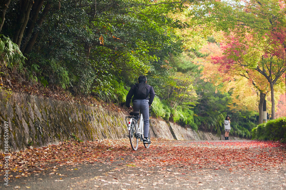 秋の公園の赤色の紅葉の落ち葉と自転車を乗る中年男性の姿 秋の公園の赤色の紅葉の落ち葉と自転車を乗る中年男性の姿
