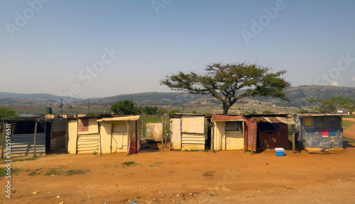 Slum on roadside in South Africa, small makeshift shacks set on a reddish dirt ground and a single acacia tree