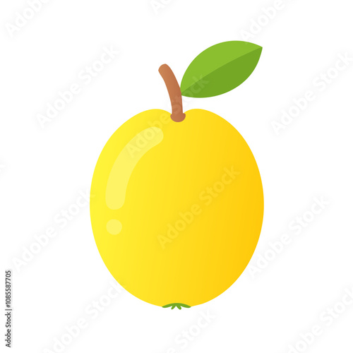 Yellow plum vector illustration