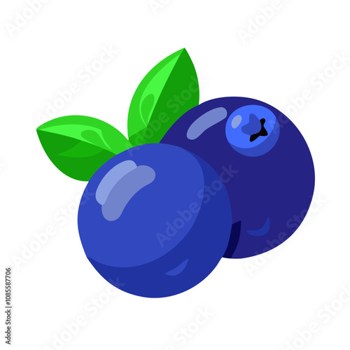 Blueberry fruit vector illustration