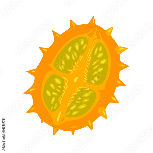 Kiwano fruit vector illustration