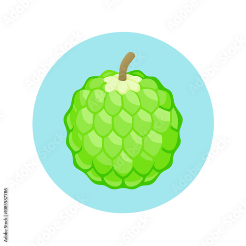 Sugar apple fruit vector illustration