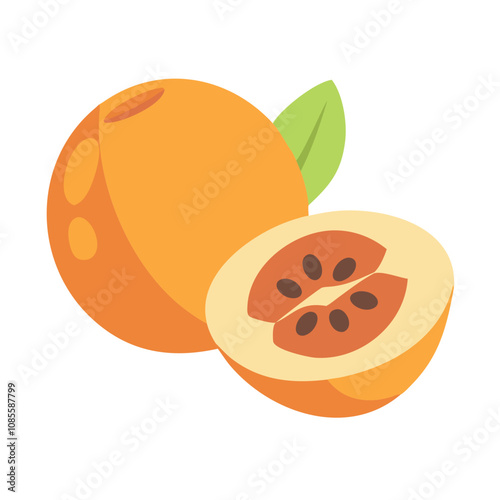 Peach fruit vector illustration