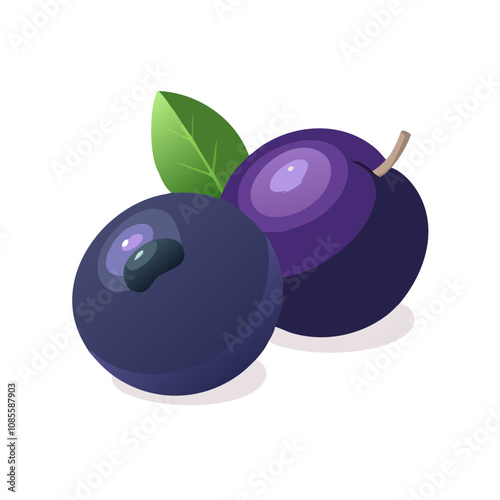 Jabuticaba fruit vector illustration